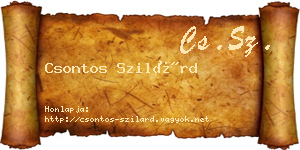 Csontos Szilárd névjegykártya